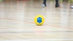 Informationen aus der Spieltechnik: Öffnung der Spielplanung für die Saison  26/27