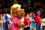Hanniball für Mini-WMs gesucht