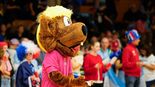 Hanniball für Mini-WMs gesucht