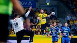 DYN Crunchtime-Pass! Verpasse kein Spiel im Saisonendspurt mit dem BWHV-Rabattcode